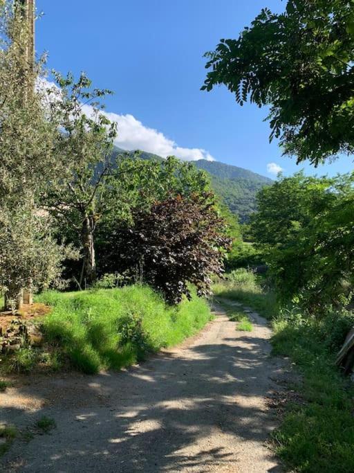 A Cantina Ucciani Esterno foto